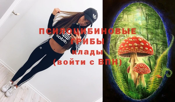 каннабис Дмитриев