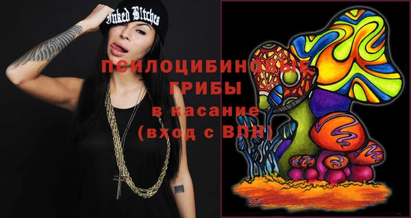 меф Алексин