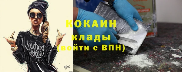 хмурый Дмитров